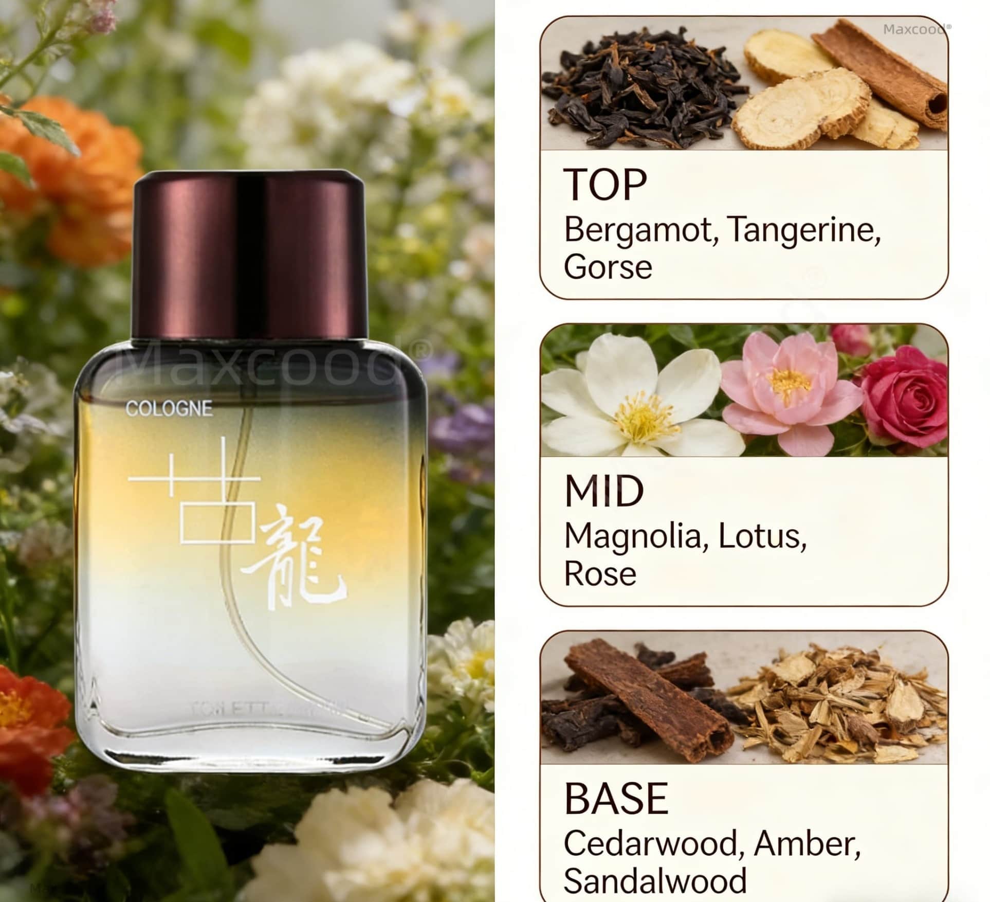 عطر ماكس كود إيه سيتروس للرجال - مراجعة Perfume Fragrance Man وسعره