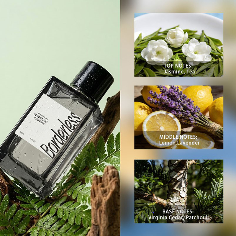 عطر رجالي فاخر بدون حدود تحديد - مراجعة Perfume Jasmine Fragrance وسعره